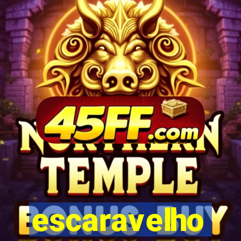 escaravelho significado espiritual
